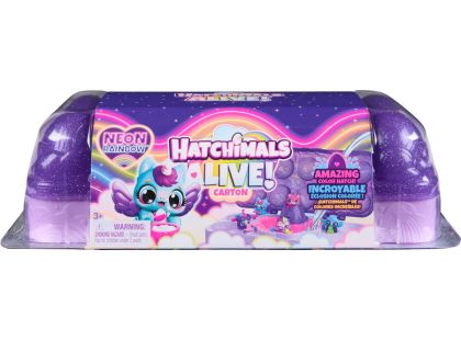 Hatchimals karton zvířátek neónová duha