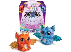 Hatchimals Líhnoucí se Interaktivní zvířátko Dráček - Poškozený obal