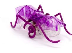 Hexbug Micro Ant fialový