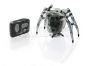 Hexbug Píďalka 6