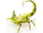Hexbug Scorpion zelený 2