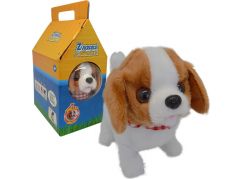 HM Studio Pejsek Teri