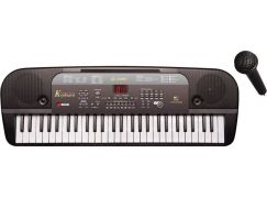 Hm Studio Piano 54 kláves s mikrofonem