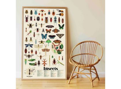 Hmyz vzdělávací samolepkový plakát