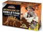 Hra Archeolog Prehistoric II 3