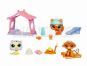 Hrací set s doplňky Littlest Pet Shop 4