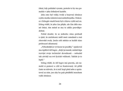 Hvězdy fotbalového hřiště - Haaland