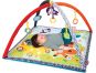 Infantino Hrací deka s hrazdou Safari 3