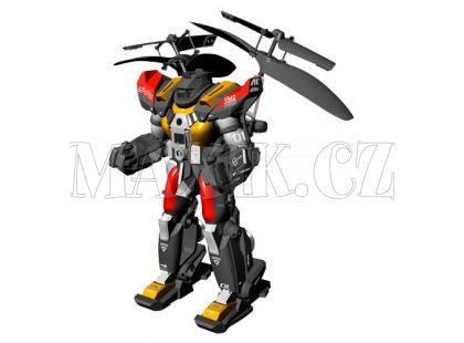 I/R Skybot Attack