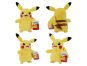 Jazwares Pokémon plyšový 20 cm IV Pikachu Smile 2