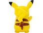 Jazwares Pokémon plyšový 20 cm IV Pikachu zavřené oči 2