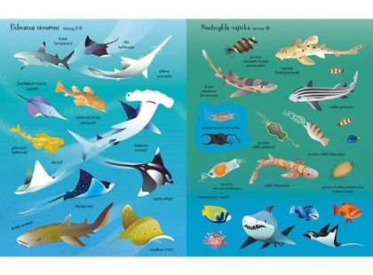 Jiří Models Samolepková knížka Žraloci a rejnoci