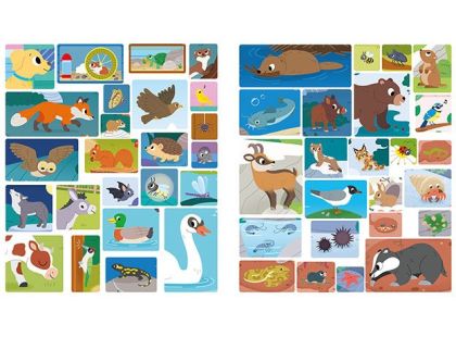 Jiří Models Samolepky pro zvídavé děti Zvířata ve dne a v noci