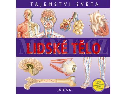 Junior Lidské tělo