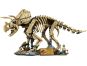 LEGO® Jurassic World 77985 Dinosauří fosilie: Triceratops 2