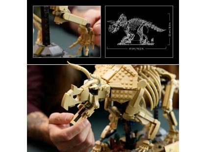 LEGO® Jurassic World 77985 Dinosauří fosilie: Triceratops