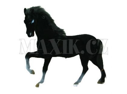Kůň Maxi černý 36cm
