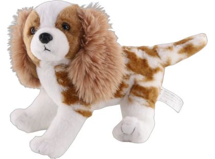 Kavalír King Charles španěl 26 cm
