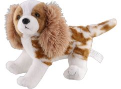 Kavalír King Charles španěl 26 cm