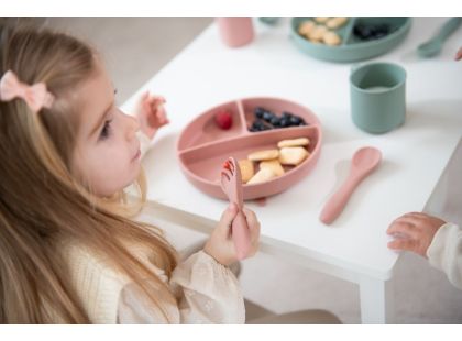 KikkaBoo Talíř dělený s přísavkou Platinum Silicone Blush