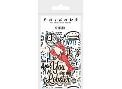Klíčenka gumová Přátelé You are my lobster