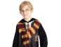 Kostým Čaroděj 110-120 cm 2