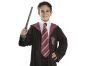 Kostým Harry Potter kravata 2