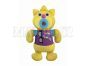 Kouzelní zpěváčci radiových hitů Fisher Price X2936 3