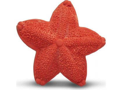 Lanco Kousátko Mořská hvězdice