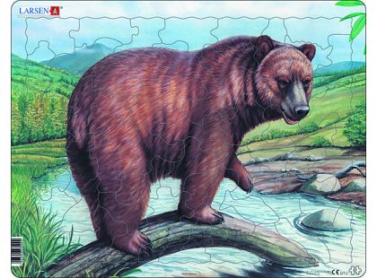 Larsen puzzle Medvěd hnědý