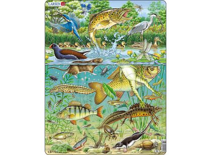 Larsen Výukové puzzle Život v rybníce