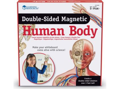 Learning resources Oboustranné magnetické lidské tělo