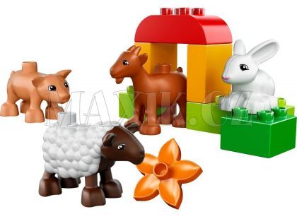 LEGO DUPLO 10522 Zvířátka z farmy