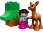 LEGO DUPLO 10582 Lesní zvířátka 6