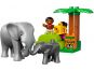LEGO DUPLO 10804 Džungle 7