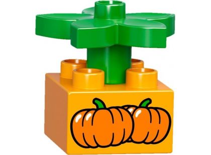 LEGO DUPLO 10810 Vláček - Poškozený obal