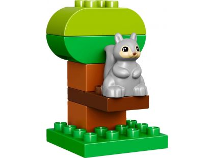 LEGO DUPLO 10832 Narozeninový piknik