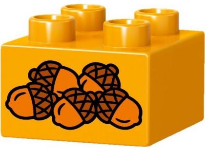 LEGO DUPLO 10832 Narozeninový piknik