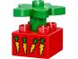 LEGO DUPLO 10838 Domácí mazlíčci 6