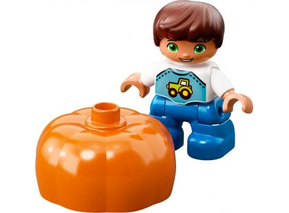 LEGO DUPLO 10867 Farmářský trh - Poškozený obal 