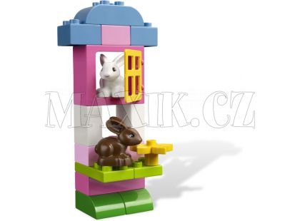 LEGO DUPLO 4623 Růžový box s kostkami