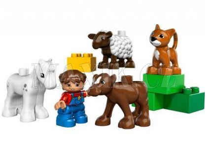 LEGO DUPLO 5646 Mláďata na farmě