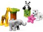 LEGO Duplo Town 10904 Zvířecí mláďátka 2