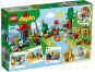 LEGO Duplo Town 10907 Zvířata světa - Poškozený obal 4