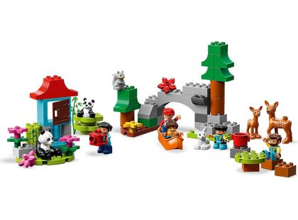 LEGO® DUPLO® Town 10907 Zvířata světa