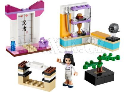 LEGO Friends 41002 Ema trénuje karate