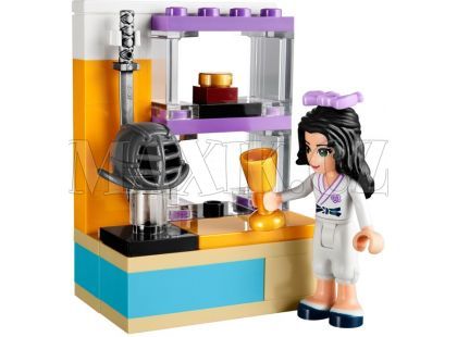 LEGO Friends 41002 Ema trénuje karate