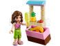 LEGO Friends 41010 Plážová bugina Olivia 4