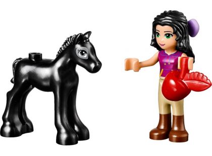 LEGO Friends 41123 Mytí hříbátka - Poškozený obal