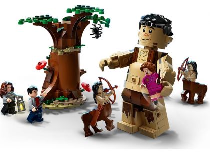 LEGO® Harry Potter™ 75967 Zapovězený les: Setkání Drápa a profesorky Umbridgeové